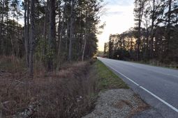 1588 Highway 57 N  photo 4