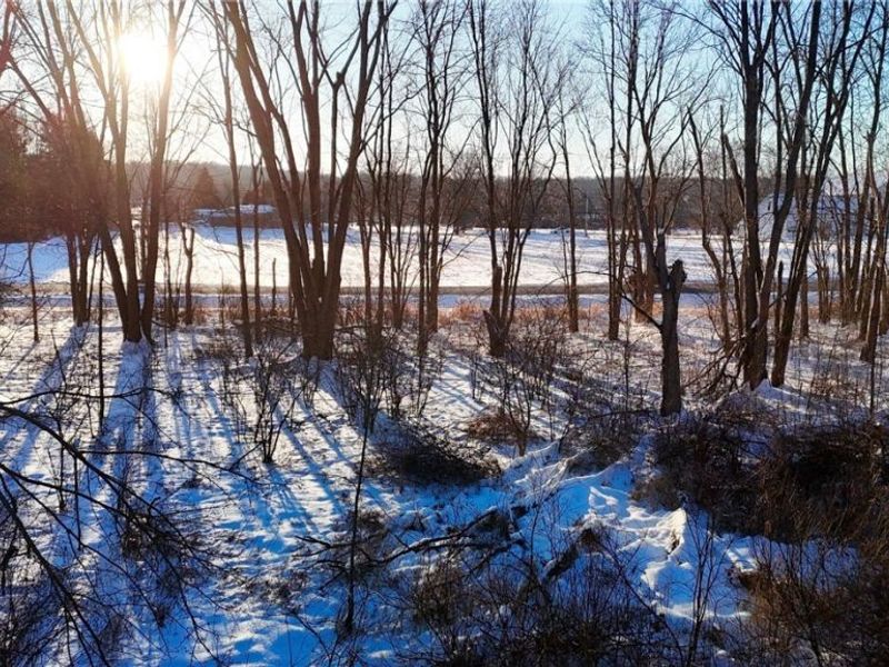 37 Buffham Road, Seville, OH 44273 Photo 10