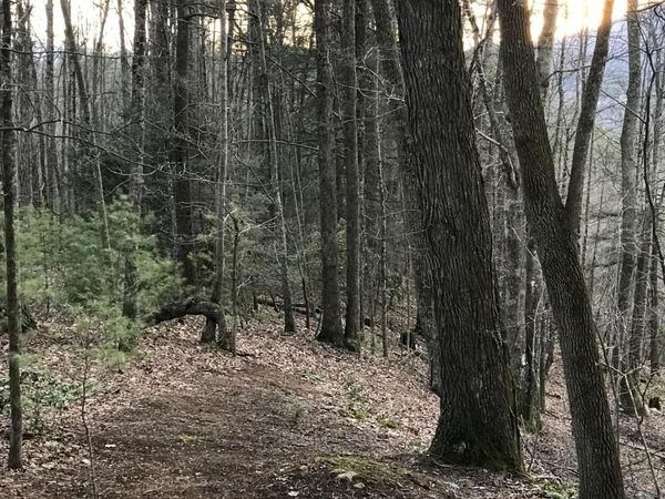 Tbd00 Mohawk Drive, Mountain City, TN 37683