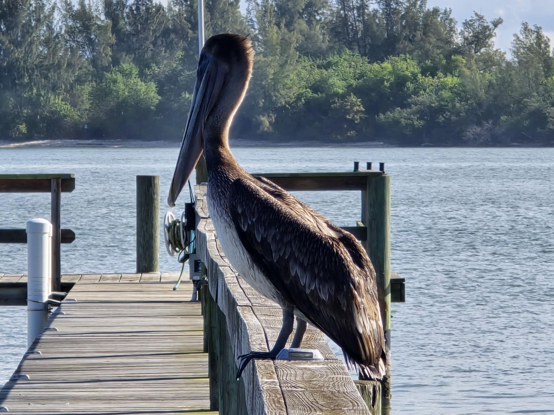 2515 N Indian River Drive, Fort Pierce, FL 34946 Photo