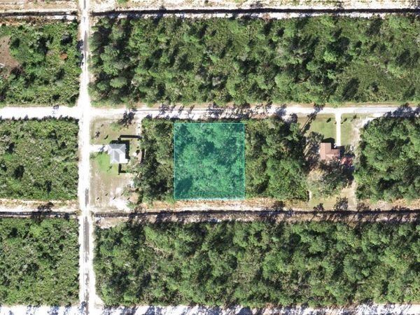 619 CAMELLIA DRIVE, INDIAN LAKE ESTATES, FL 33855