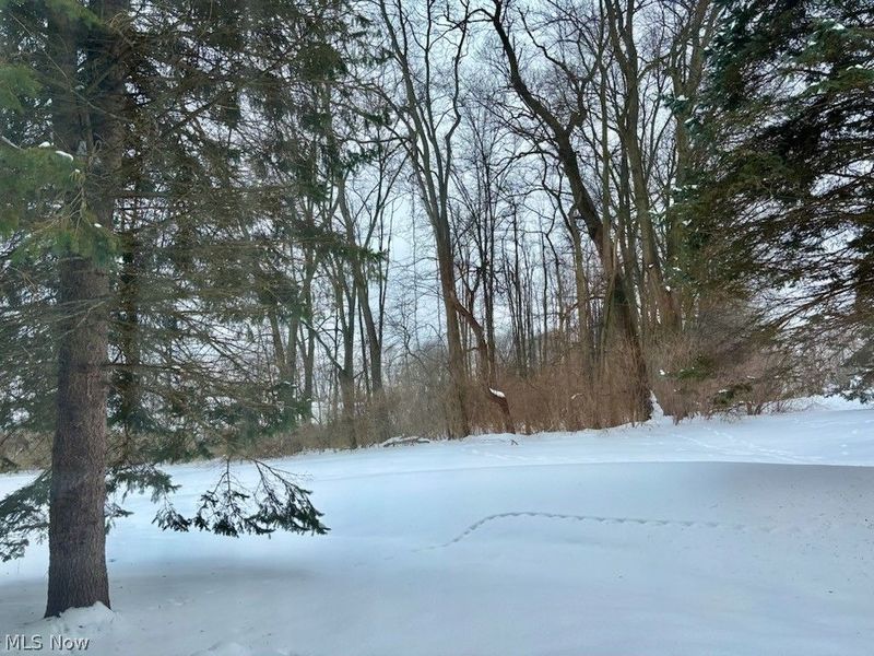 3984 Palace Way, Copley, OH 44321 Photo 36