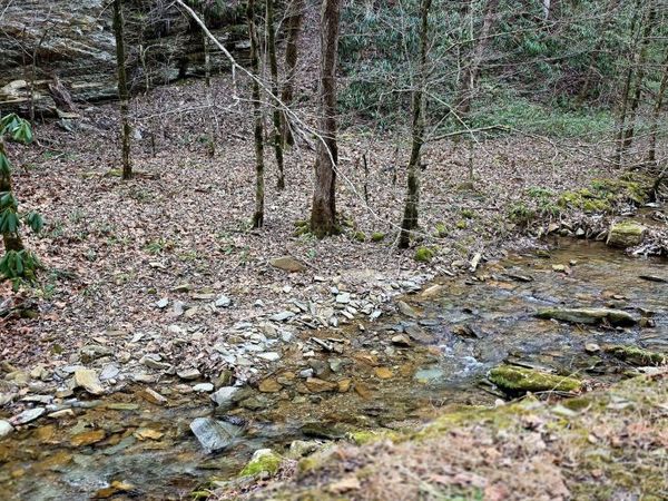 N Clear Fork Rd, Sevierville, TN 37862