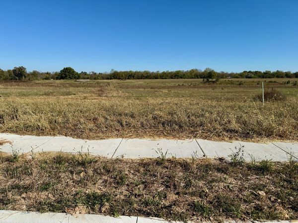 980 S Stonewall Road, Republic, MO 65738