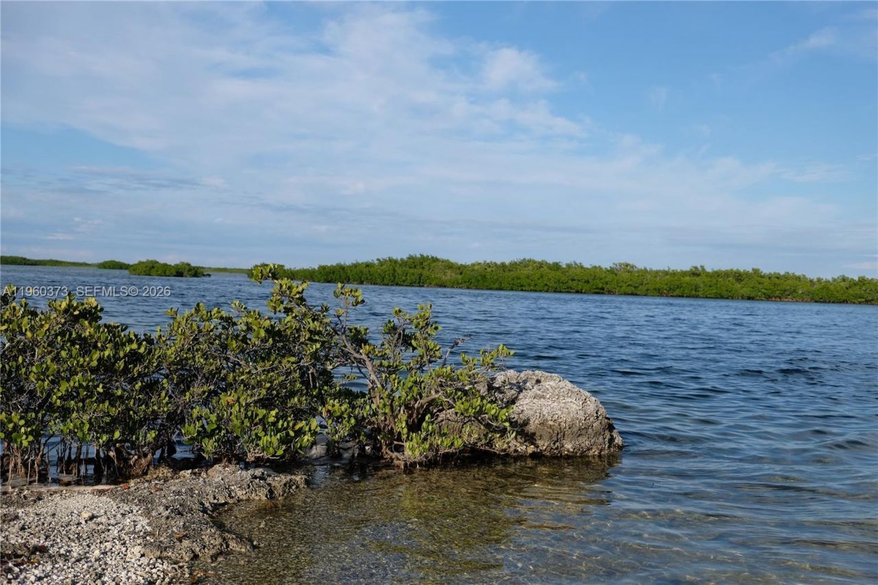 1557 Long Beach Dr, Big Pine Key, FL 33043 Photo