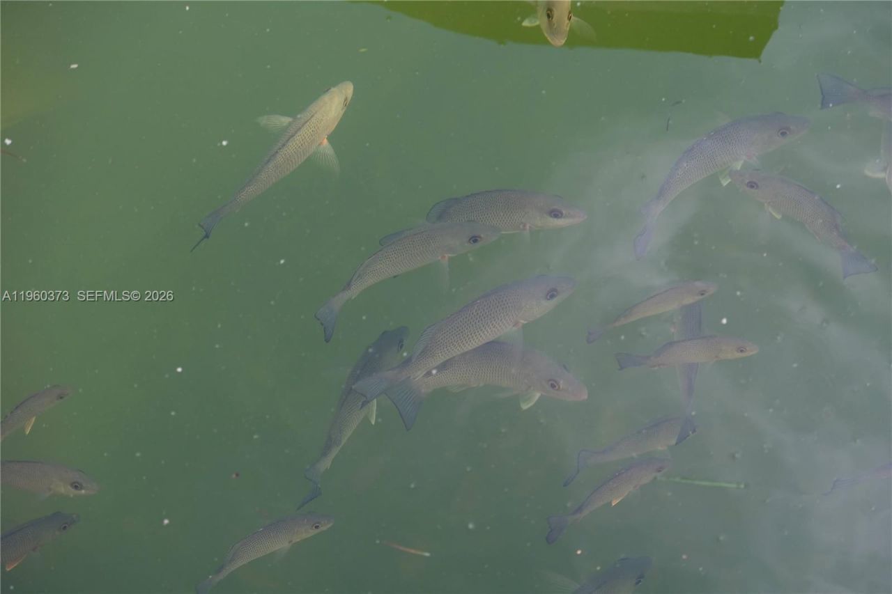 1557 Long Beach Dr, Big Pine Key, FL 33043 Photo