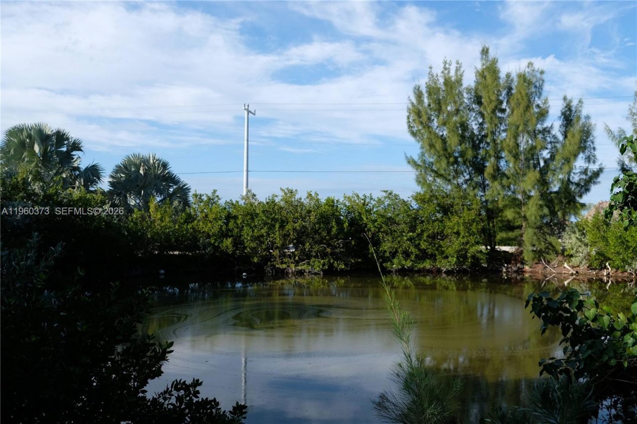 1557 Long Beach Dr, Big Pine Key, FL 33043 Photo