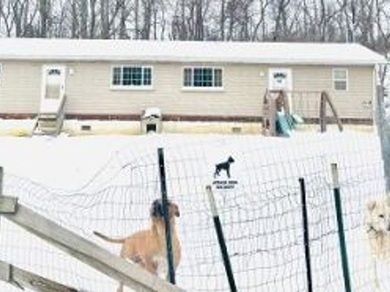 18371 Sugartree Road, Kimbolton, OH 43749 Photo 3