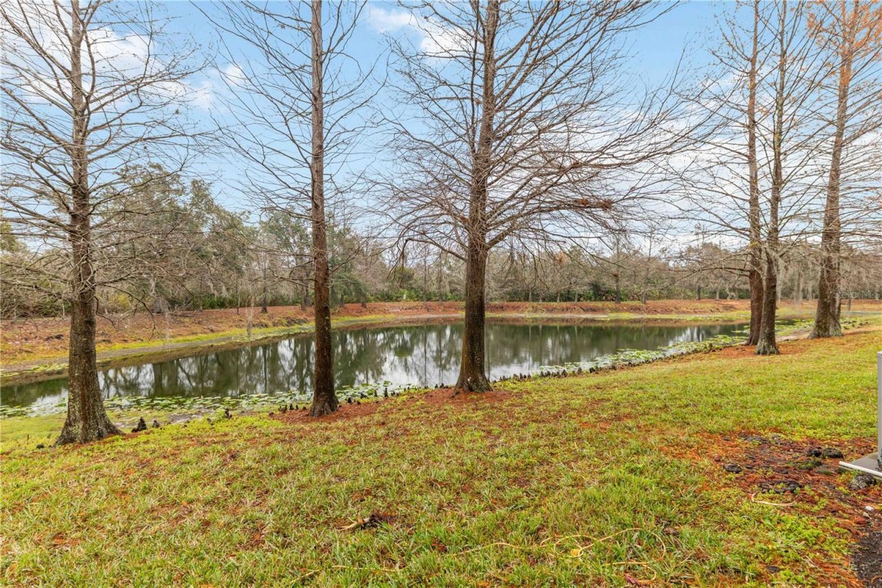 9040 White Sage Loop, Lakewood Ranch, FL 34202 Photo