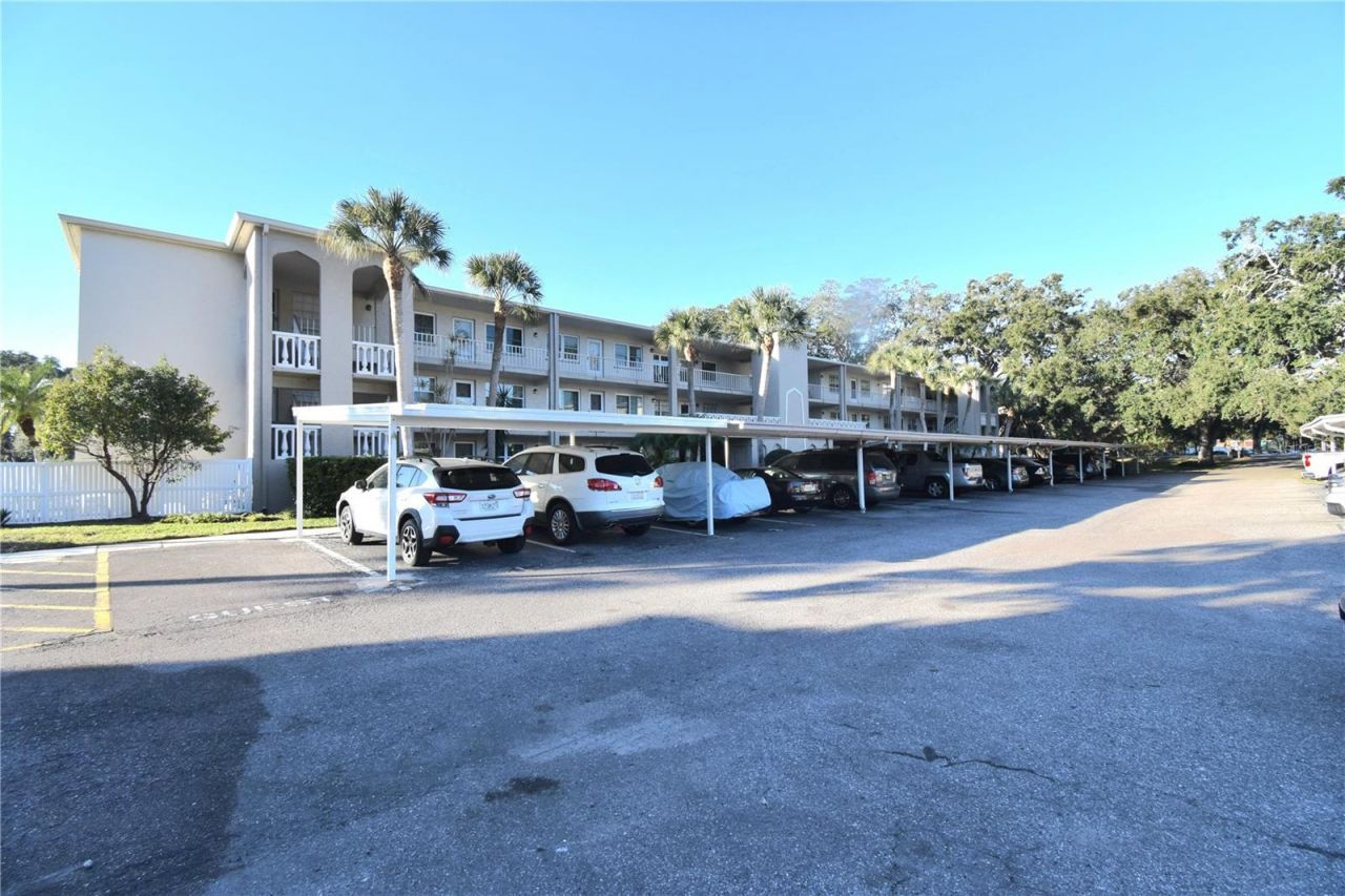 841 Patricia Avenue, Unit 202, Dunedin, FL 34698 Main Photo