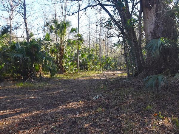 4721 LINGO GROVE ROAD, EDGEWATER, FL 32141