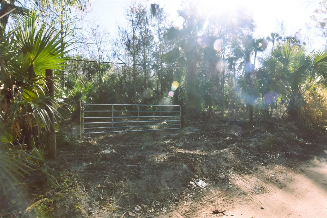 4721 Lingo Grove Road, Edgewater, FL 32141 Photo