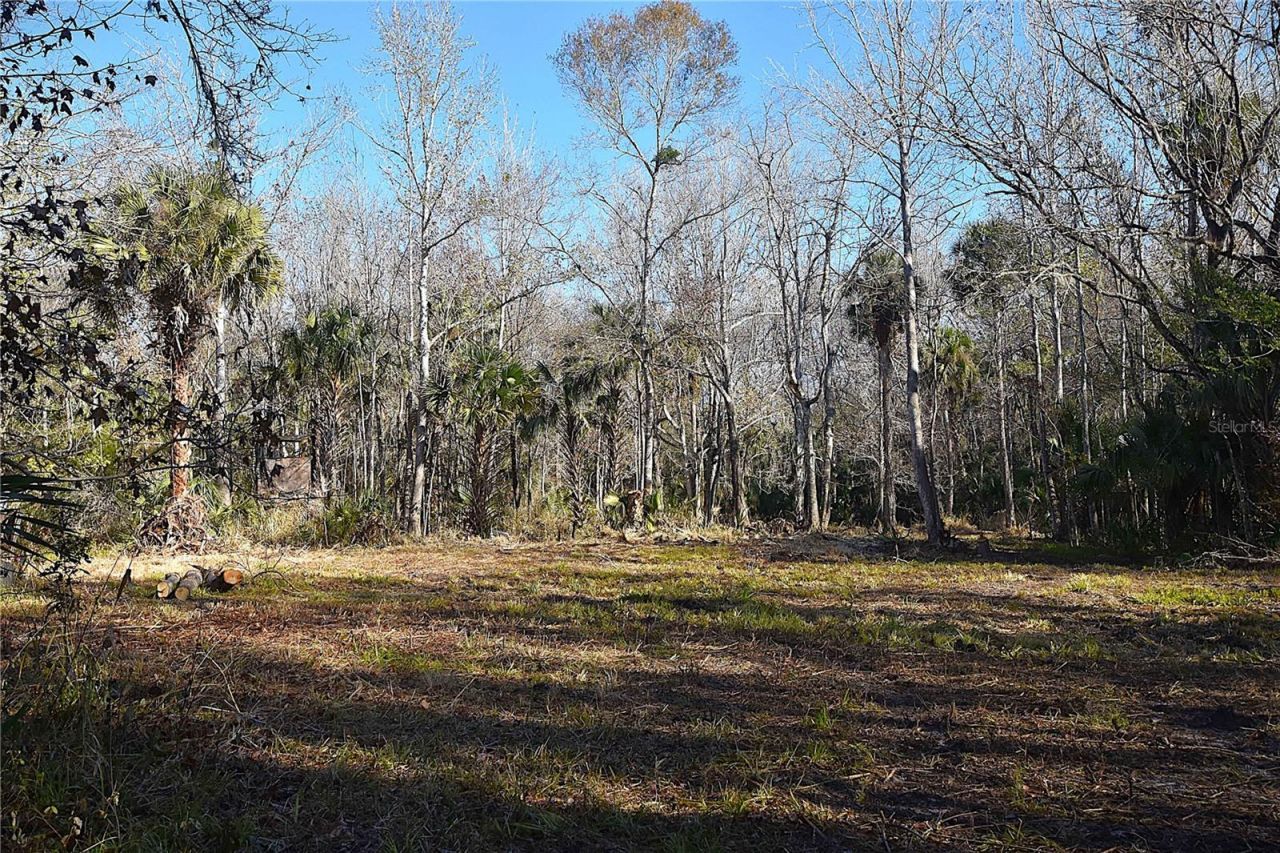 4721 Lingo Grove Road, Edgewater, FL 32141 Photo