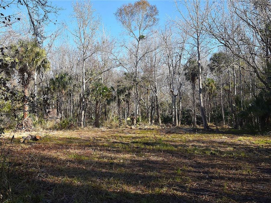 Property Image 5