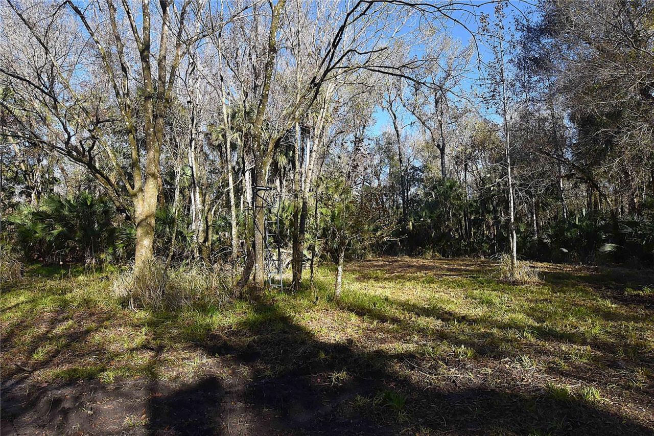 4721 Lingo Grove Road, Edgewater, FL 32141 Photo