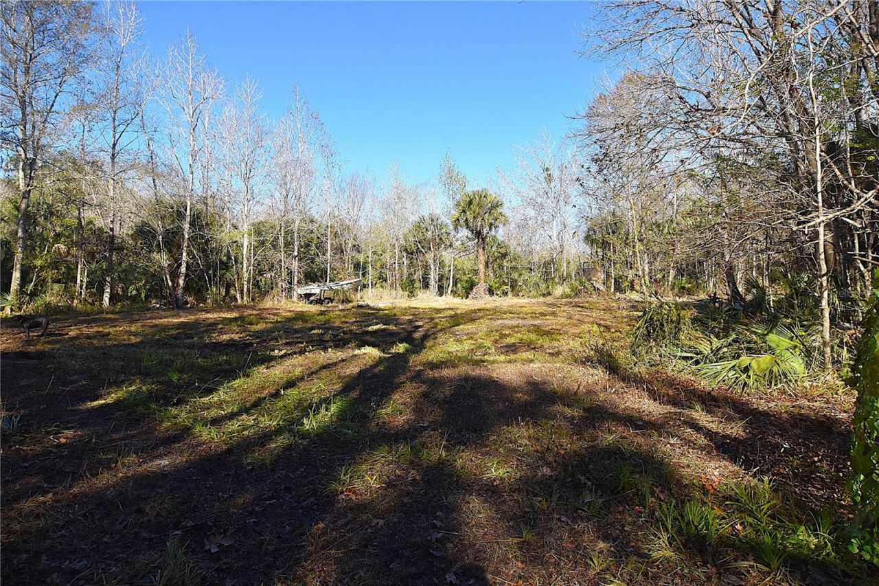 4721 Lingo Grove Road, Edgewater, FL 32141 Photo