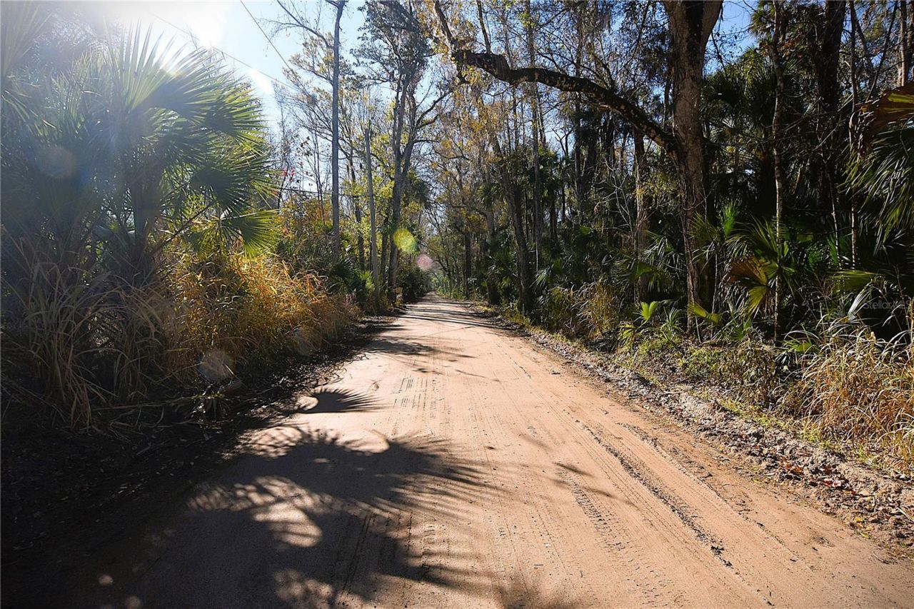 4721 Lingo Grove Road, Edgewater, FL 32141 Photo