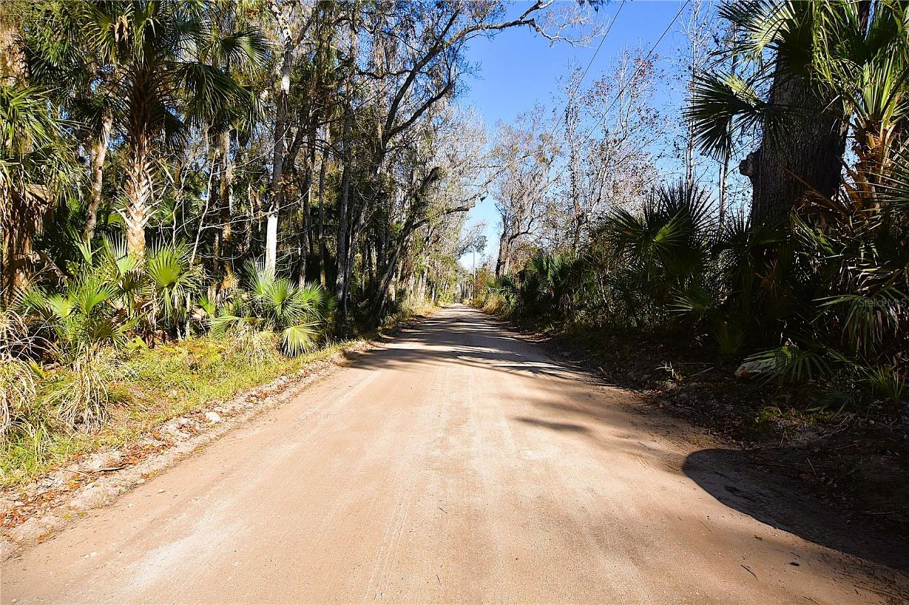 4721 Lingo Grove Road, Edgewater, FL 32141 Photo