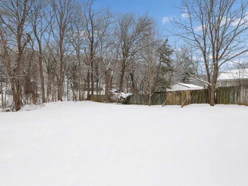 402 Catherine Street, Ripley, OH 45167 Photo 33