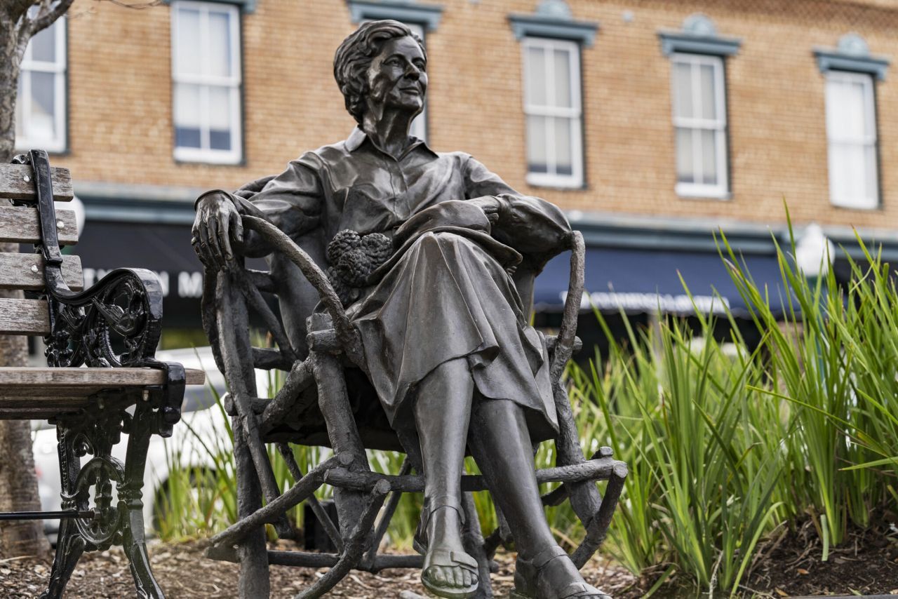 456 Waring Street Photo 85