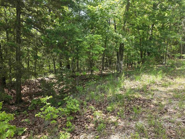 L-39, B-4 Topez Drive, Cherokee Village, AR 72529