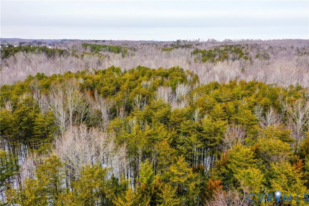 00 Farmville Road, Farmville, VA 23901 Main Photo