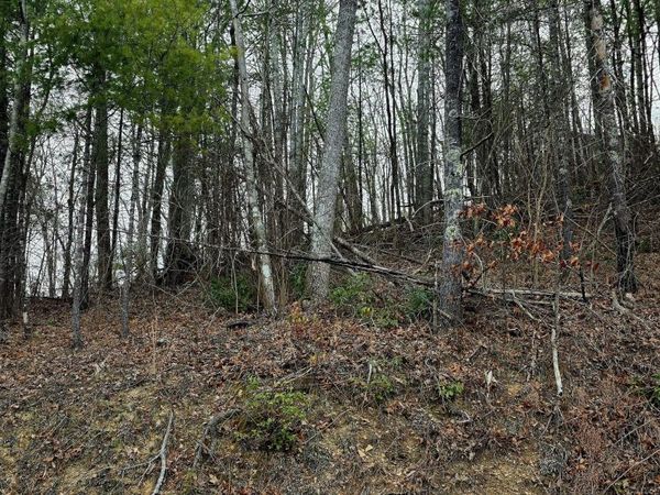 Sevierville, TN 37862