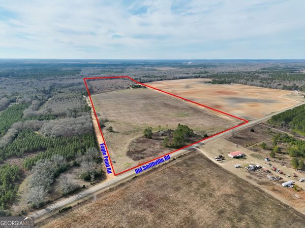 0 Eagle Pond / Old Smithville Road, Leesburg, GA 31763