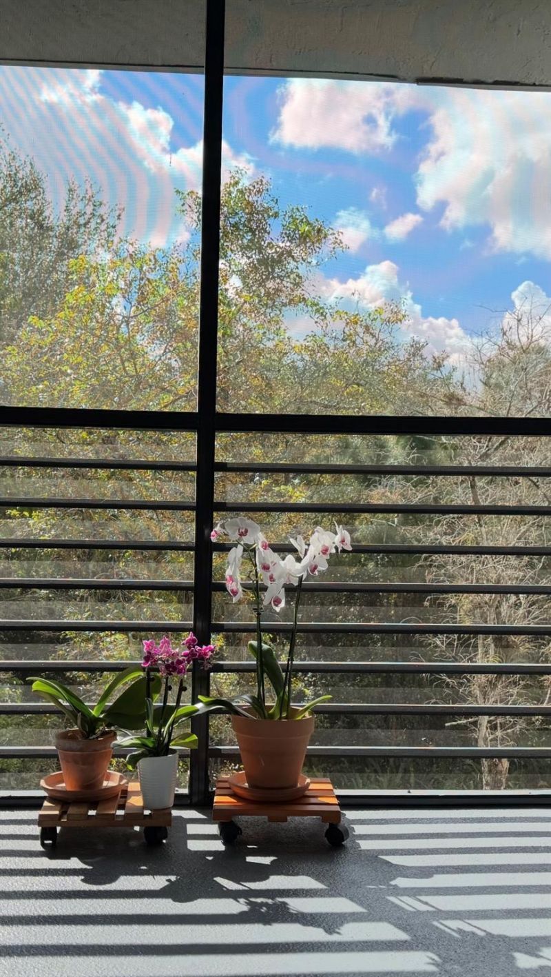 7515 NW 79th Avenue, Unit 311, Tamarac, FL 33321 Photo