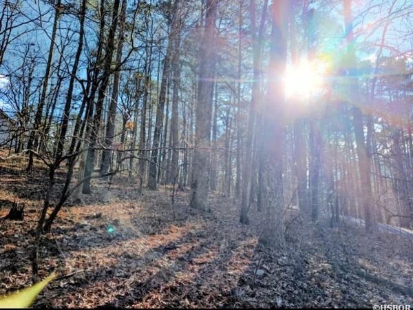 TBD ASTORGA Circle, Hot Springs Village, AR 71909