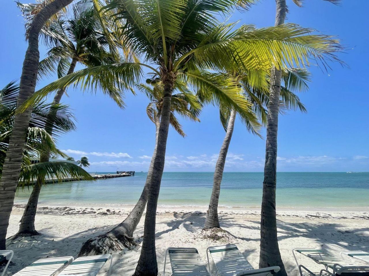 601 W Ocean Drive, Unit 410, Key Colony, FL 33051 Photo