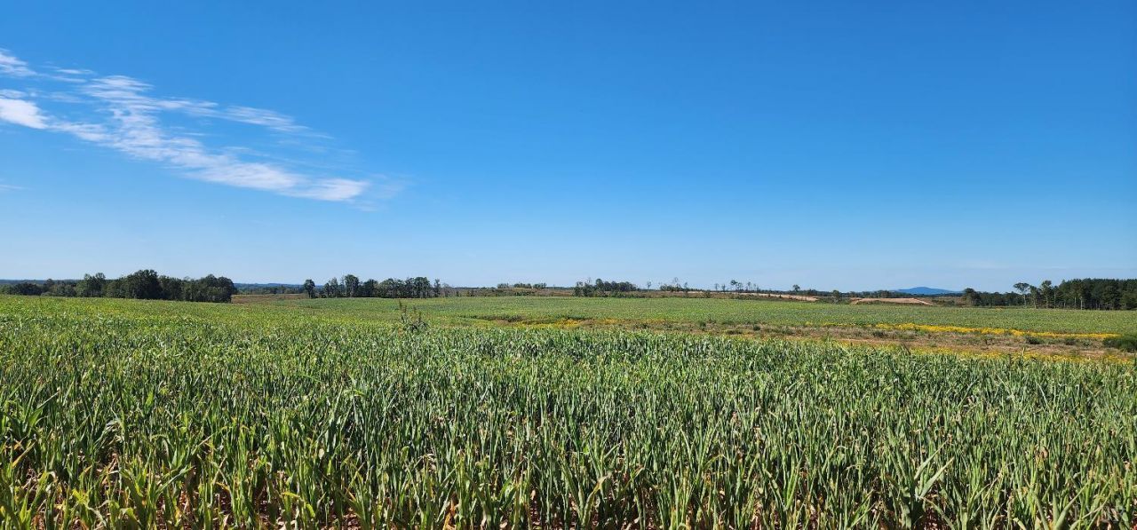 0 Glenmore Road, Scottsville, VA 24590