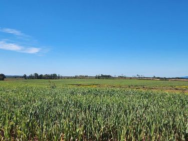 0 Glenmore Road, Scottsville, VA 24590