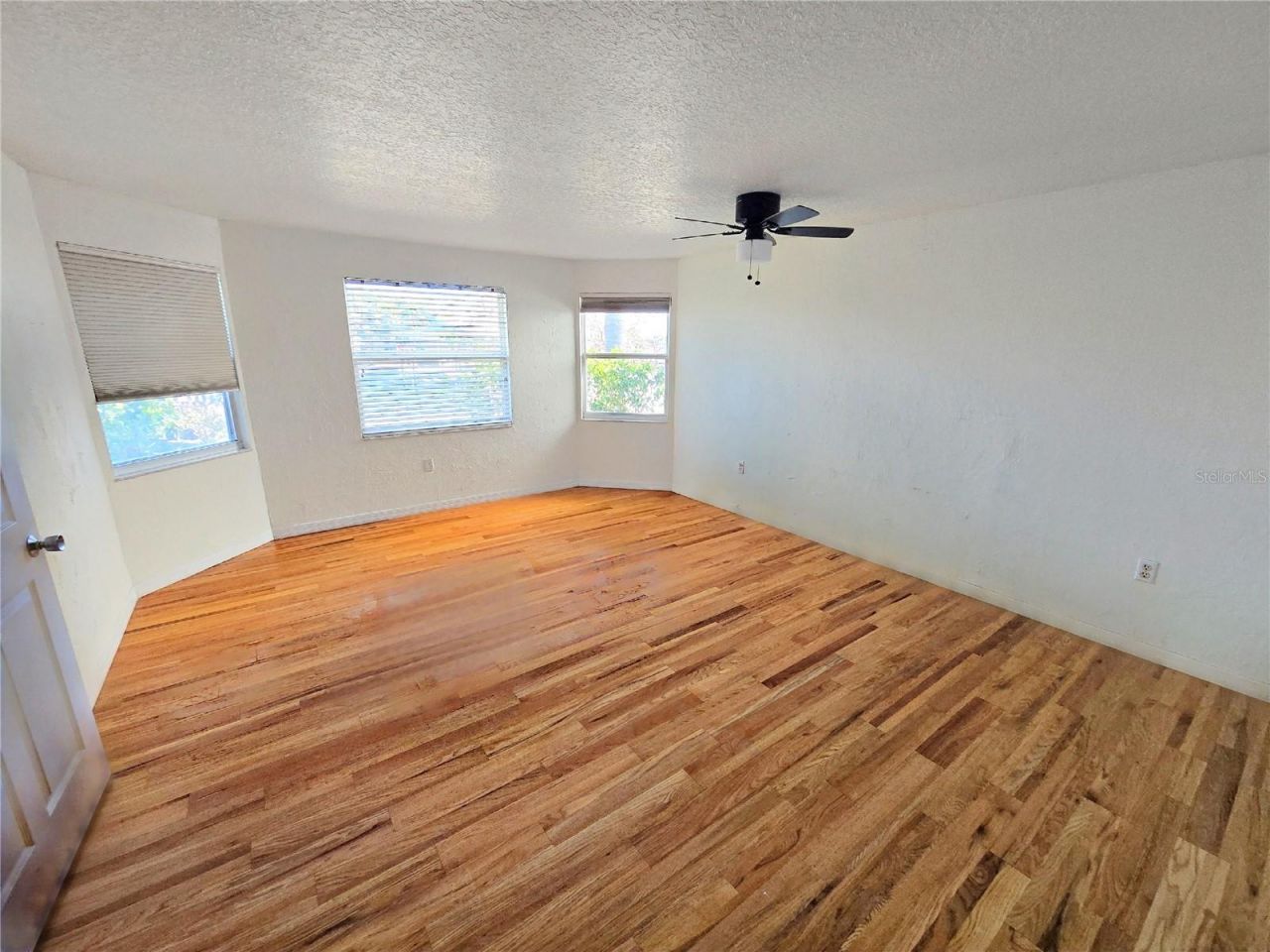 3616 Royal Palm Drive, Bradenton, FL 34210 Photo