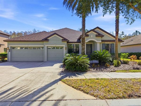 7907 HAMPTON LAKE DRIVE, TAMPA, FL 33647