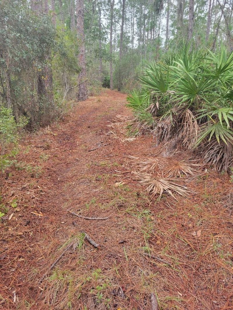 12625 Sweet Hill Road, Polk City, FL 33868 Photo