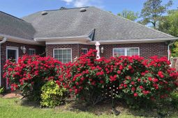 3635 Cedar Creek Run photo 4