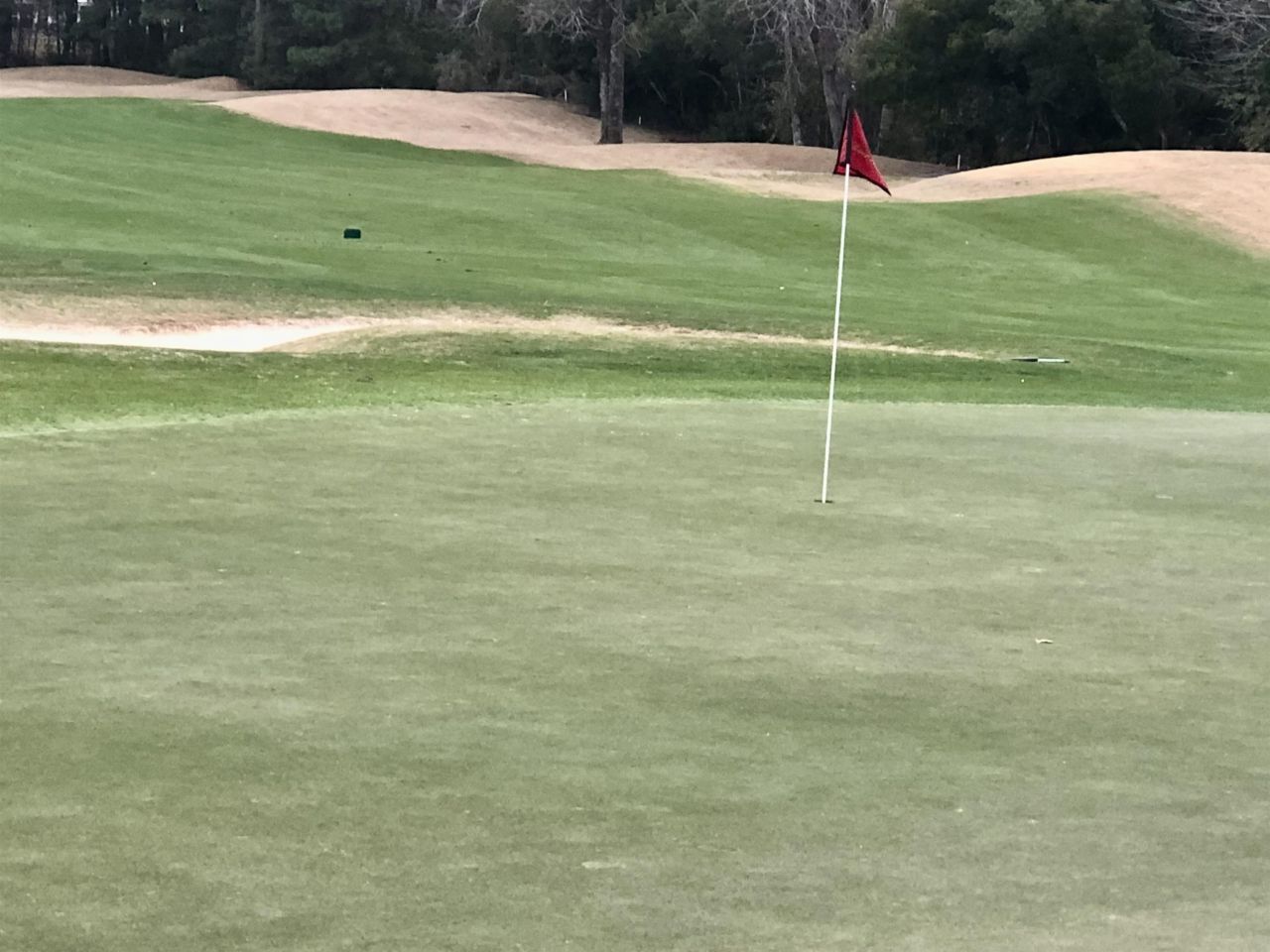 3635 Cedar Creek Run Photo 27