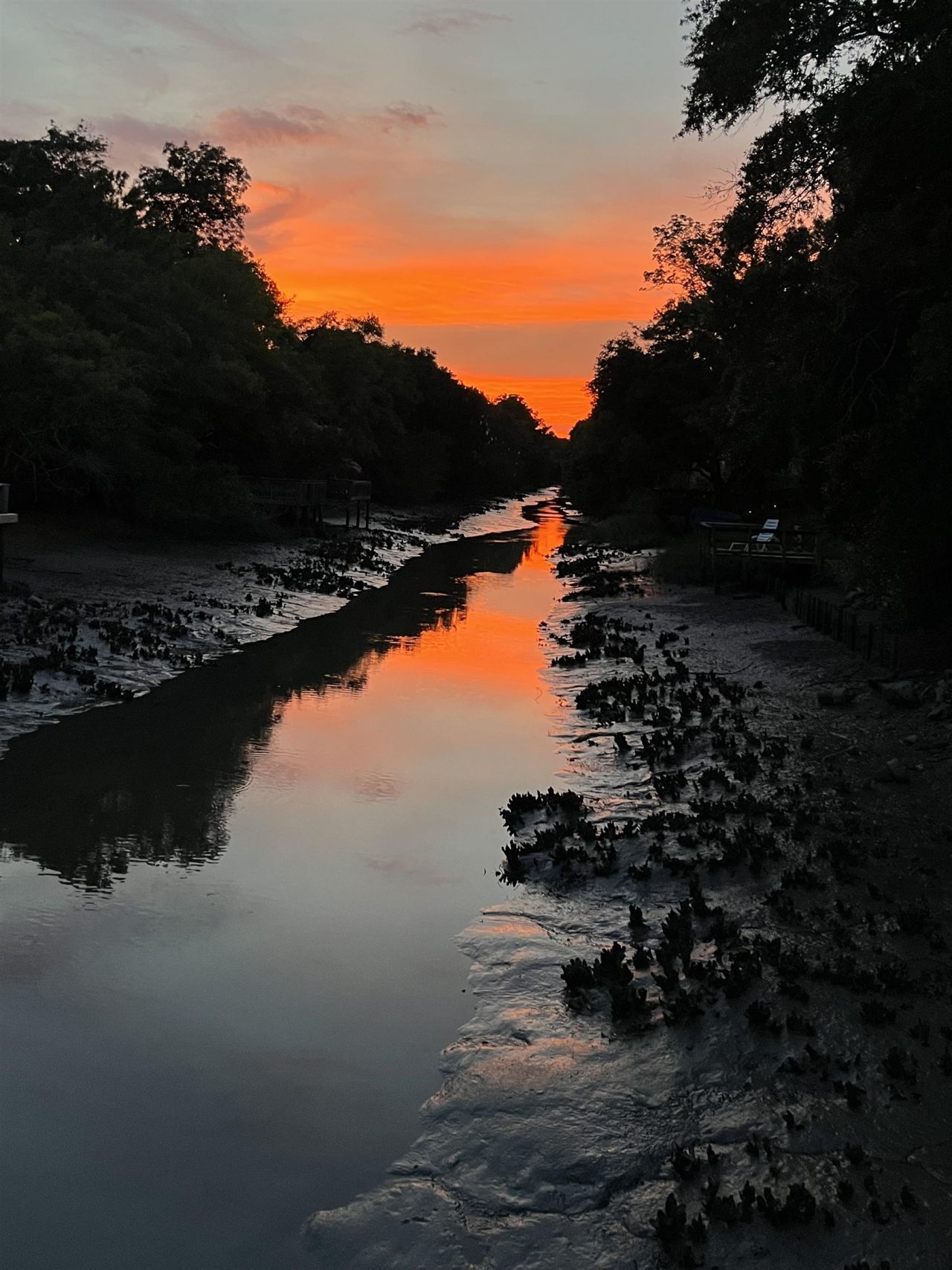 344 Clam Shell Circle Photo 36