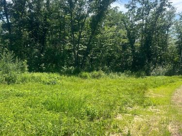 27536 Norway Trail, Randall, MN 56475