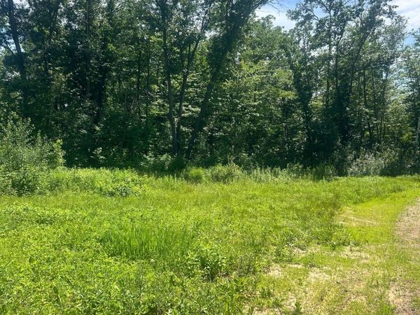 27536 Norway Trail, Randall, MN 56475