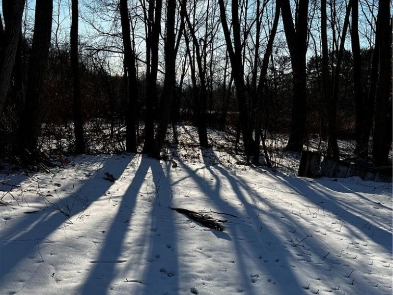 2992 Wadsworth Road, Norton, OH 44203 Photo 31