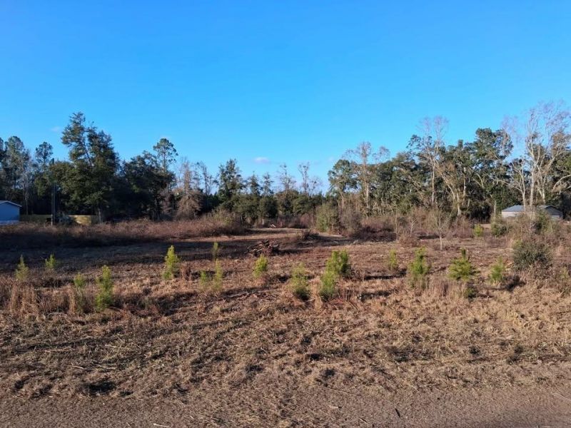 1 W Meadow Road, Monticello, FL 32344 Photo