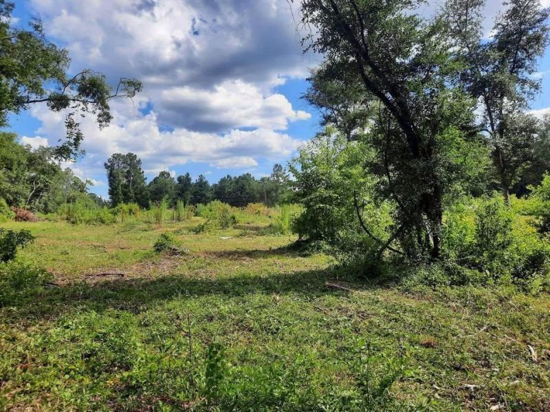 1 W Meadow Road, Monticello, FL 32344 Photo