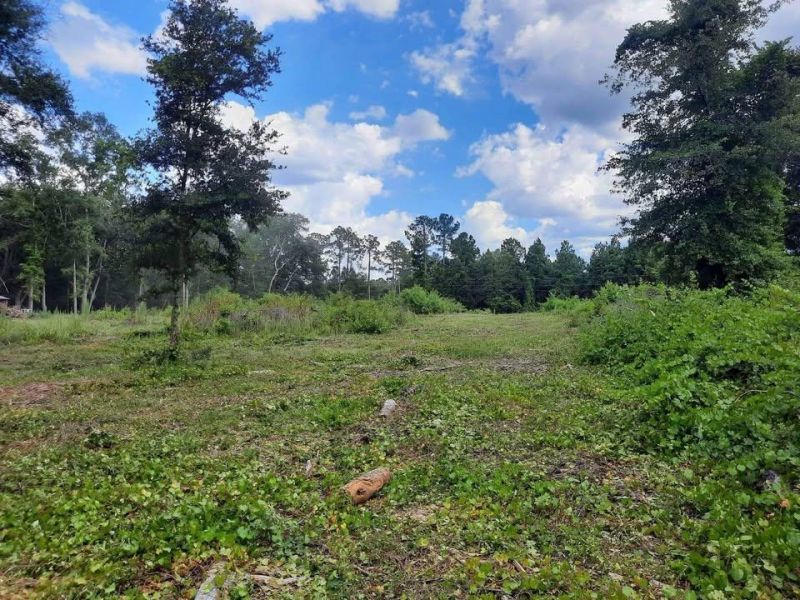 1 W Meadow Road, Monticello, FL 32344 Photo