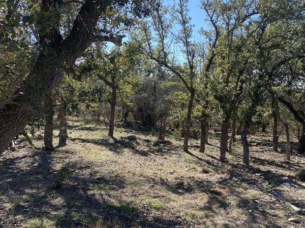 106 Ulmus, Fredericksburg, TX 78624