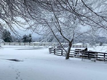 575 Smith Brewer Road, London, KY 40744