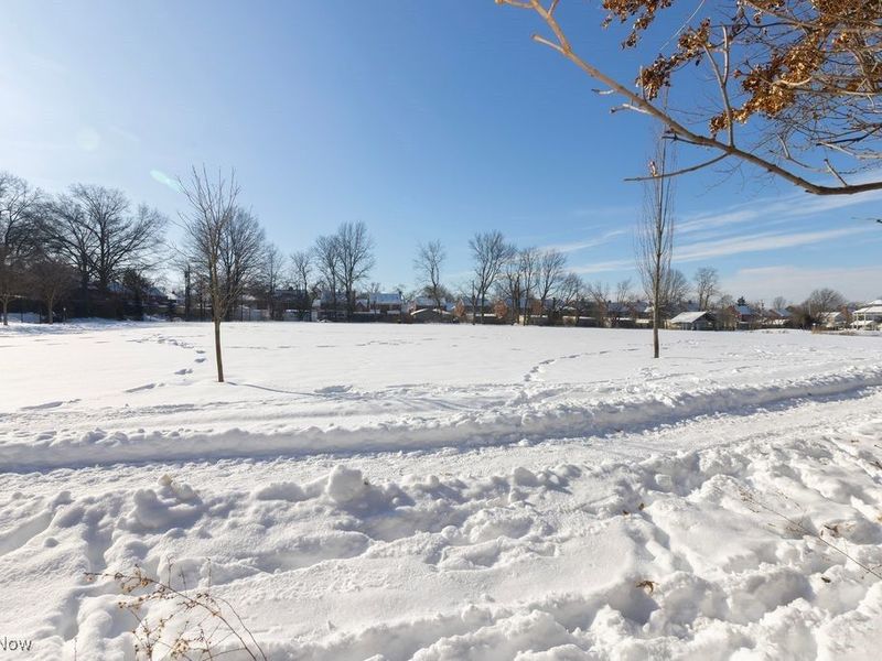 3930 Silsby Road, University Heights, OH 44118 Photo 46