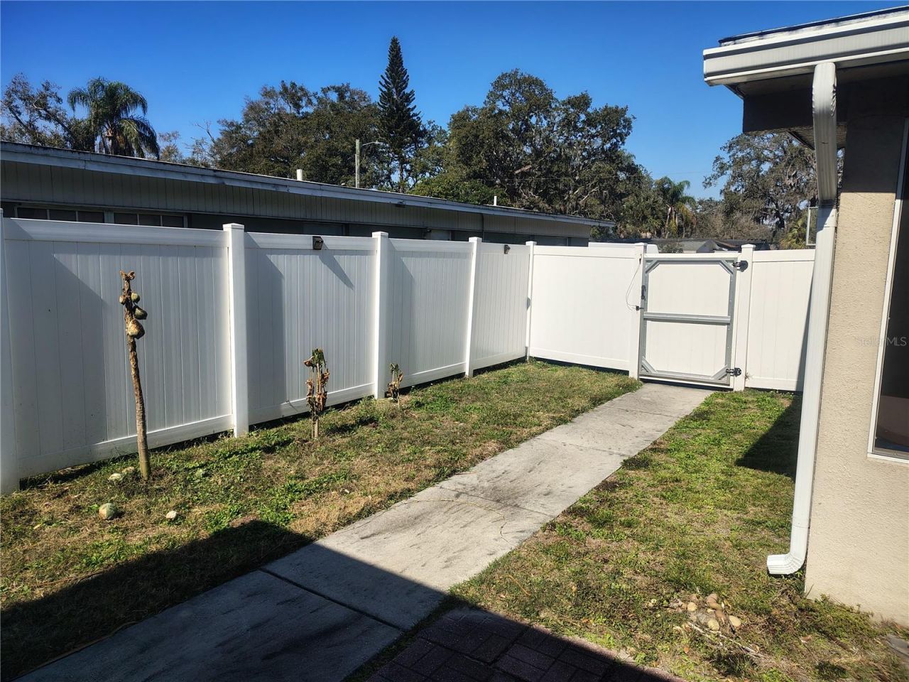 5309 Nancy Street, Tampa, FL 33617 Photo