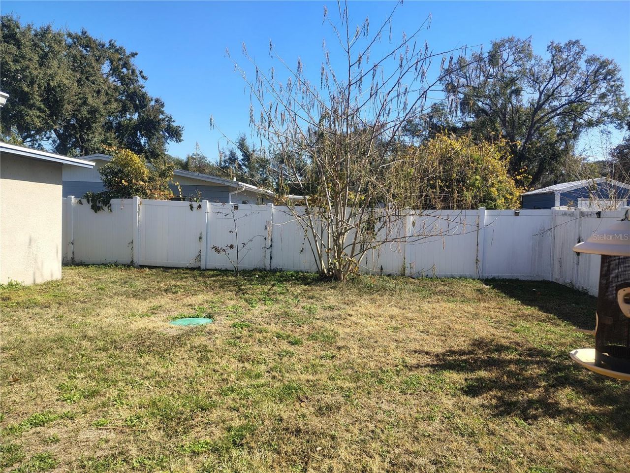 5309 Nancy Street, Tampa, FL 33617 Photo